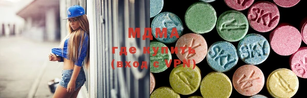крисы Кулебаки