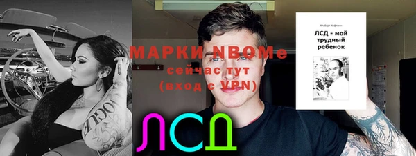 крисы Кулебаки