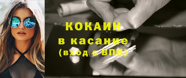 крисы Кулебаки