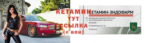 крисы Кулебаки