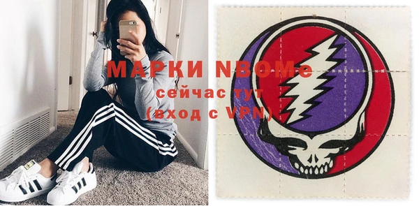 крисы Кулебаки