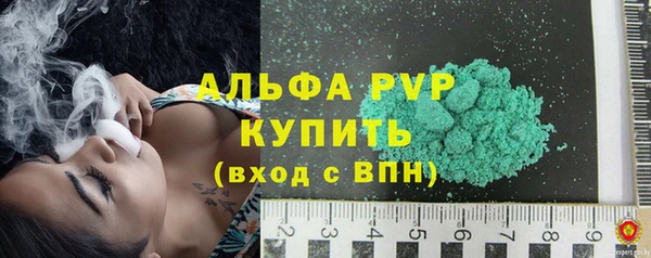 крисы Кулебаки