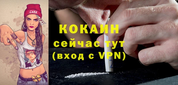 крисы Кулебаки