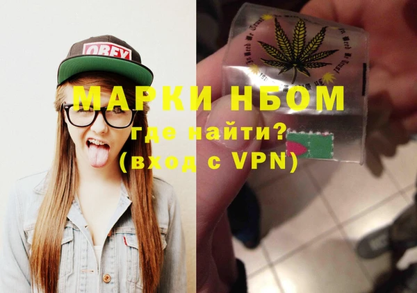 крисы Кулебаки
