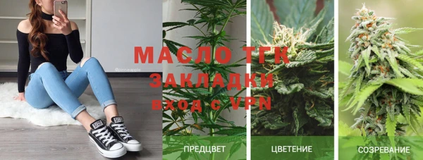 крисы Кулебаки