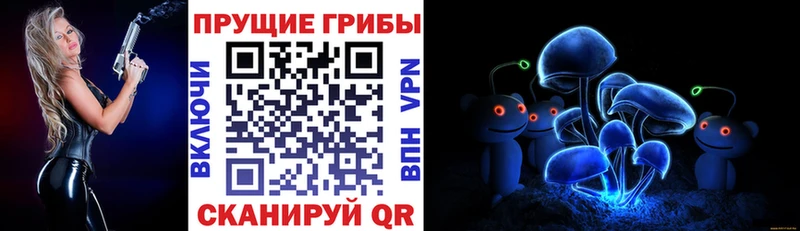 даркнет сайт  Очёр  Псилоцибиновые грибы Cubensis 